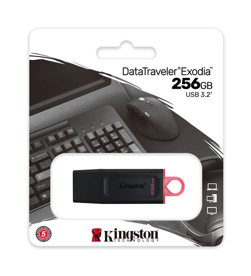 Kingston DataTraveler Exodia 256GB
