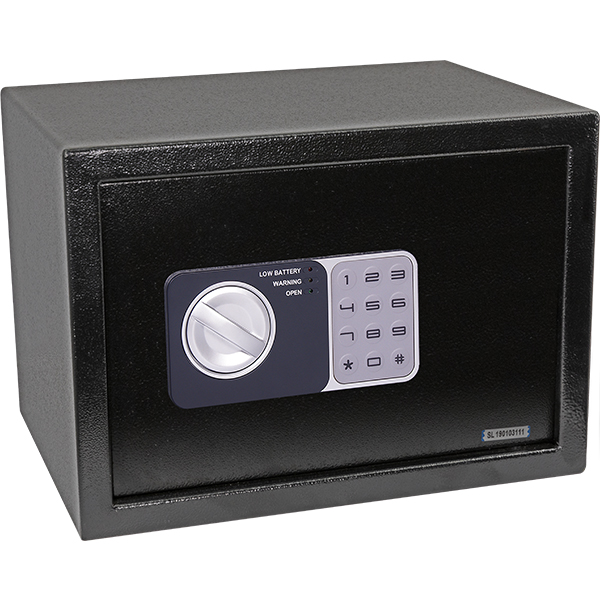 Digital Safe 25SAO