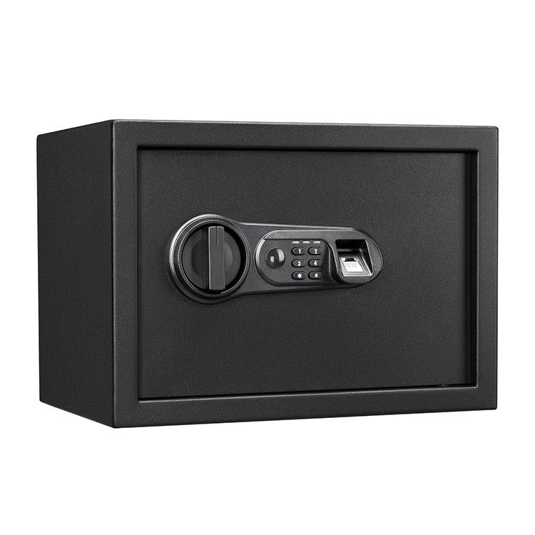 Biometric Safe FS0902S