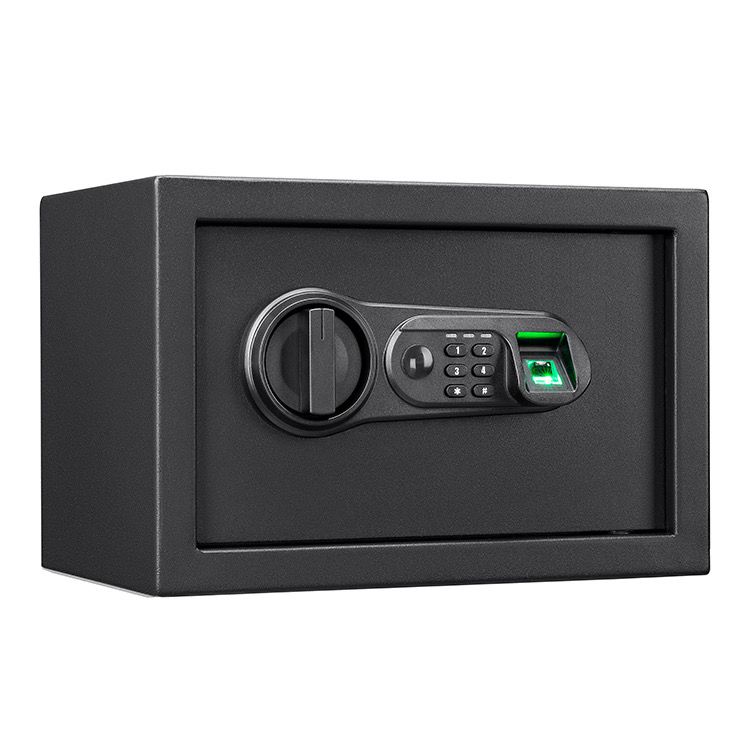 Biometric Safe FS0901S